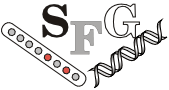 SFG